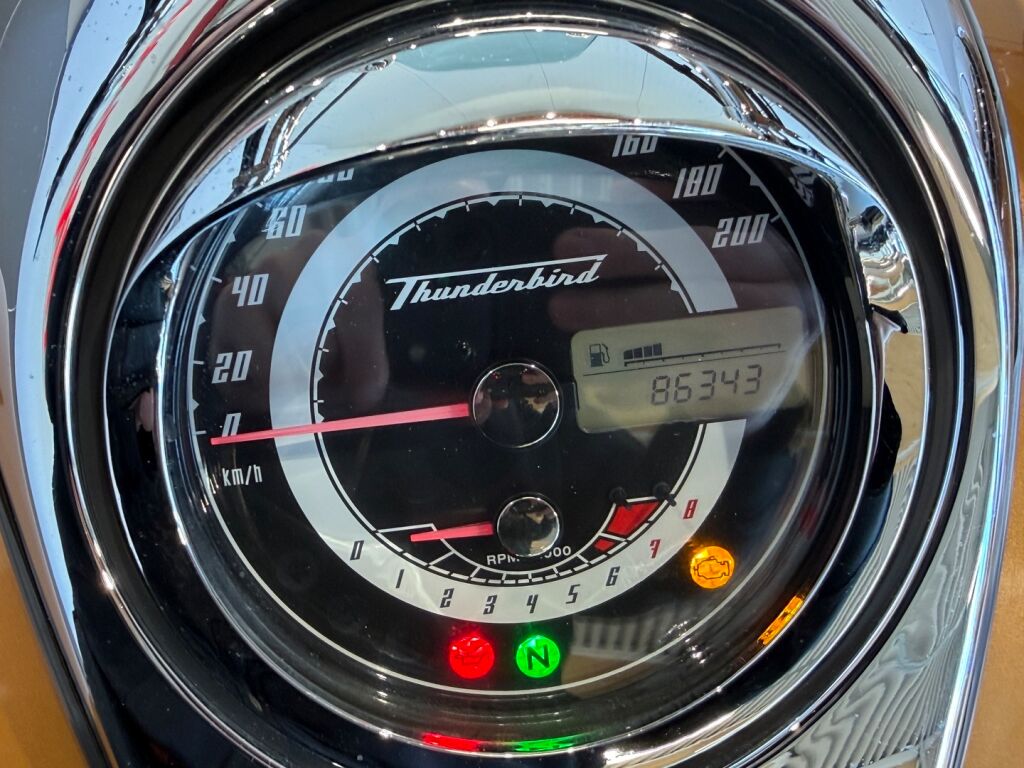 Triumph Thunderbird 2010 
