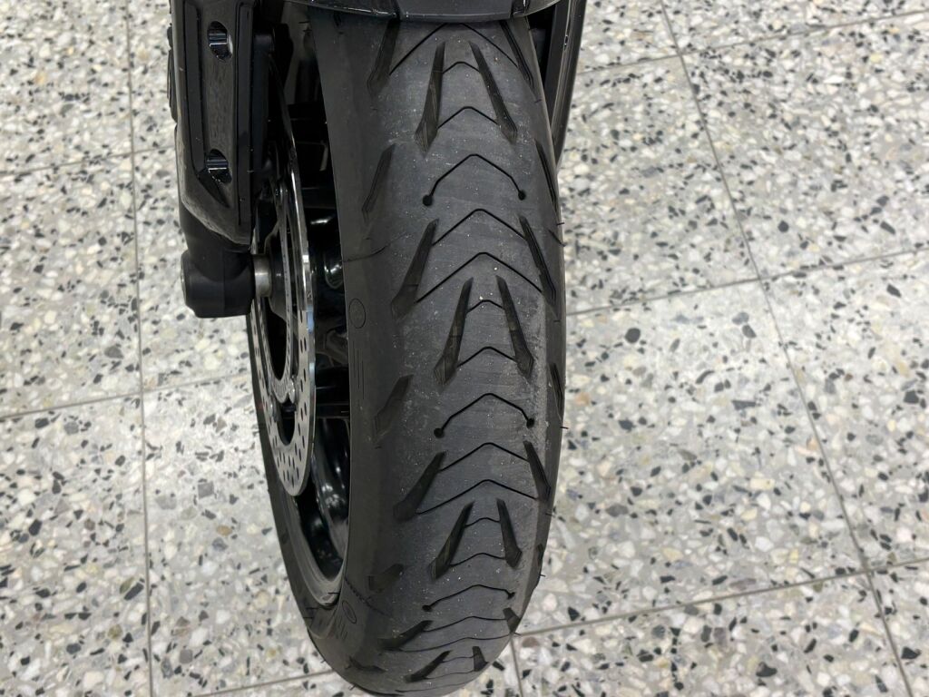 Triumph TRIDENT 2026 