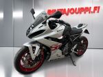 Suzuki GSX 2024 