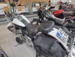 Harley-davidson SOFTAIL 2006 Valkoinen