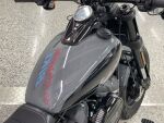 Harley-davidson SOFTAIL 2022 