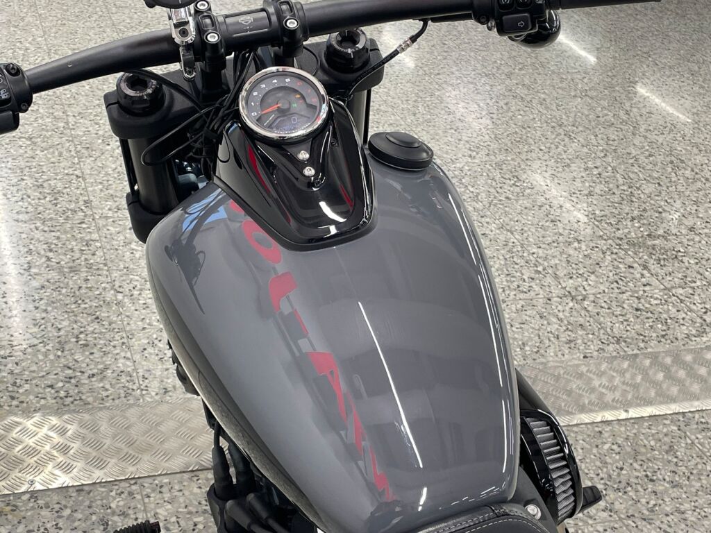 Harley-davidson SOFTAIL 2022 