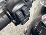 Harley-davidson SOFTAIL 2019 