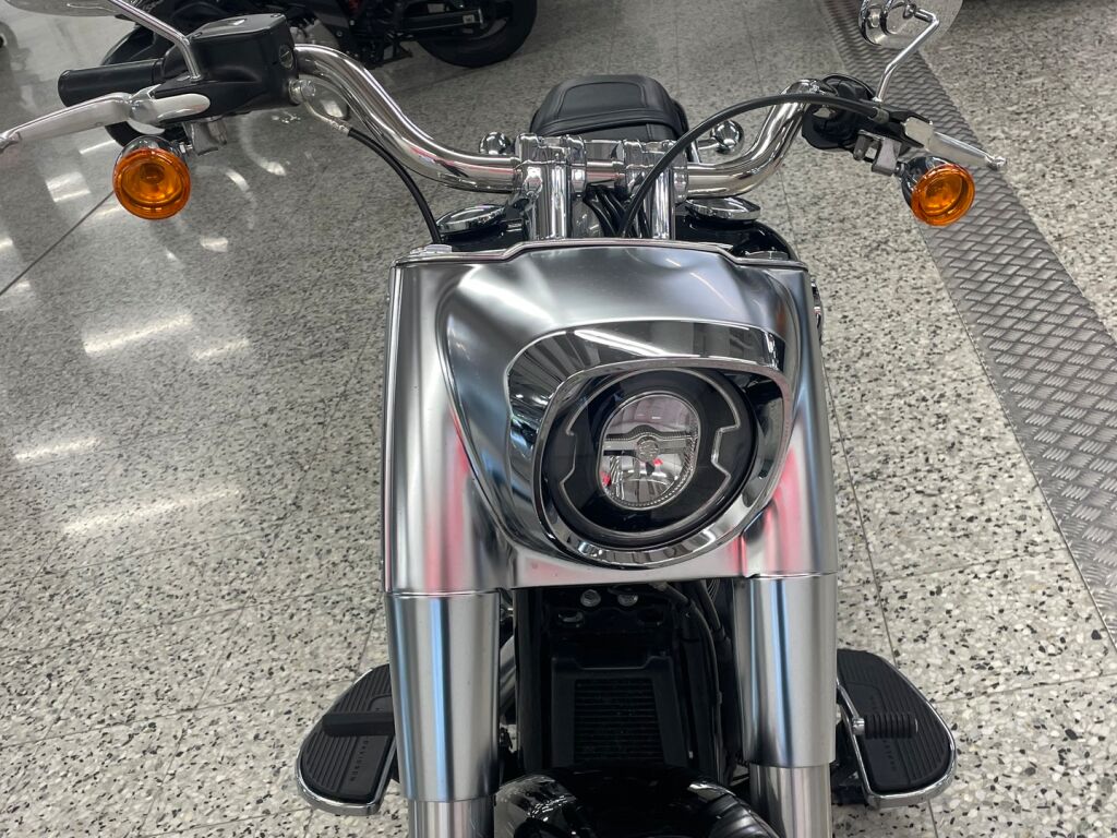 Harley-davidson SOFTAIL 2019 