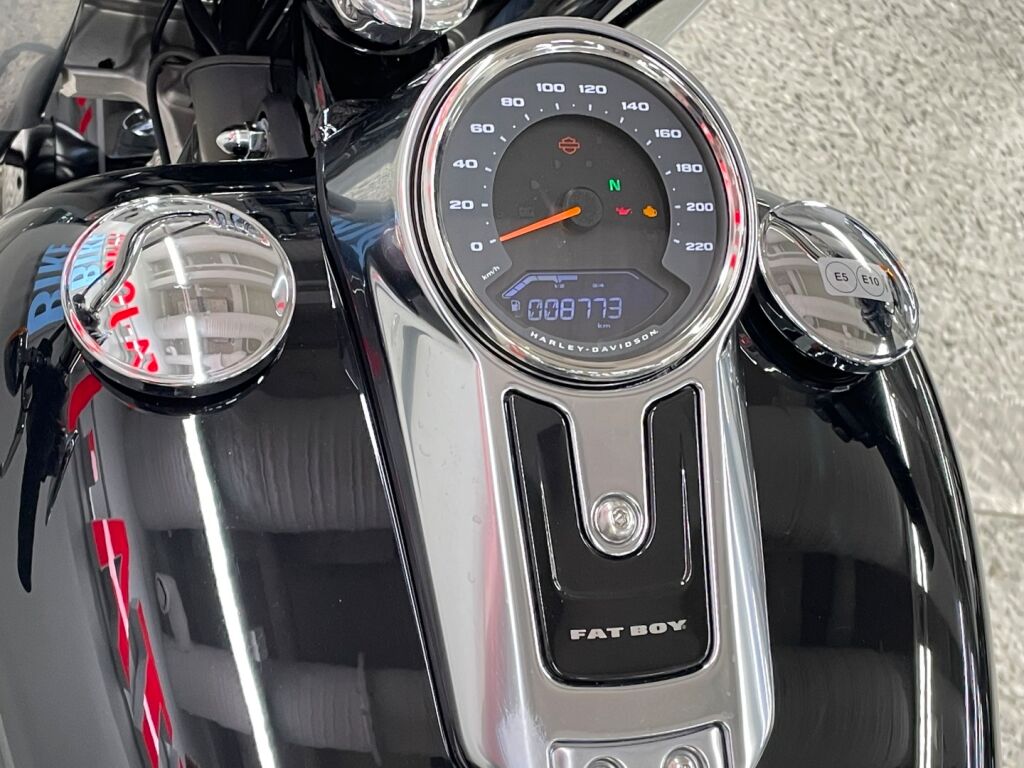 Harley-davidson SOFTAIL 2019 