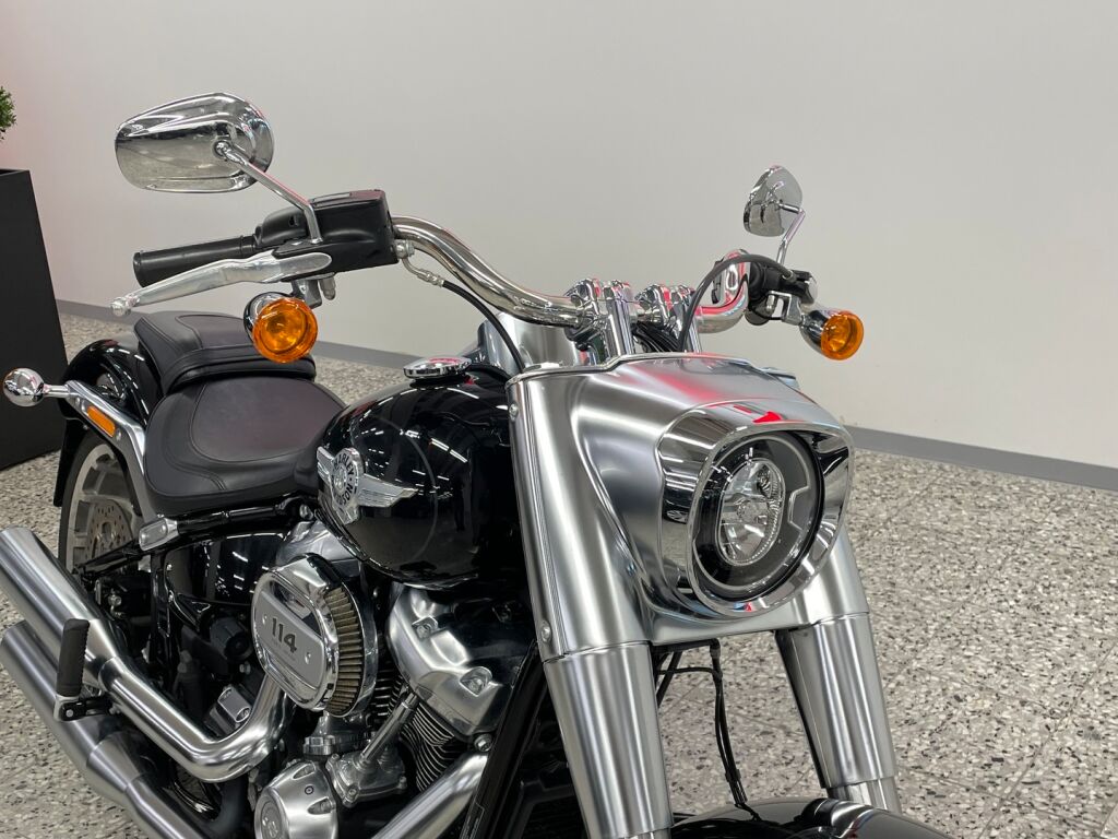 Harley-davidson SOFTAIL 2019 