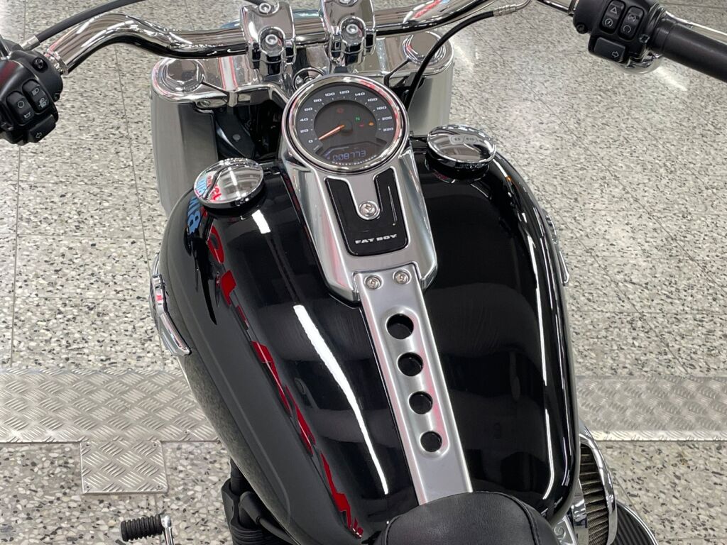 Harley-davidson SOFTAIL 2019 