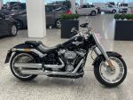 Harley-davidson SOFTAIL 2019 