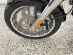 Harley-davidson SOFTAIL 2019 