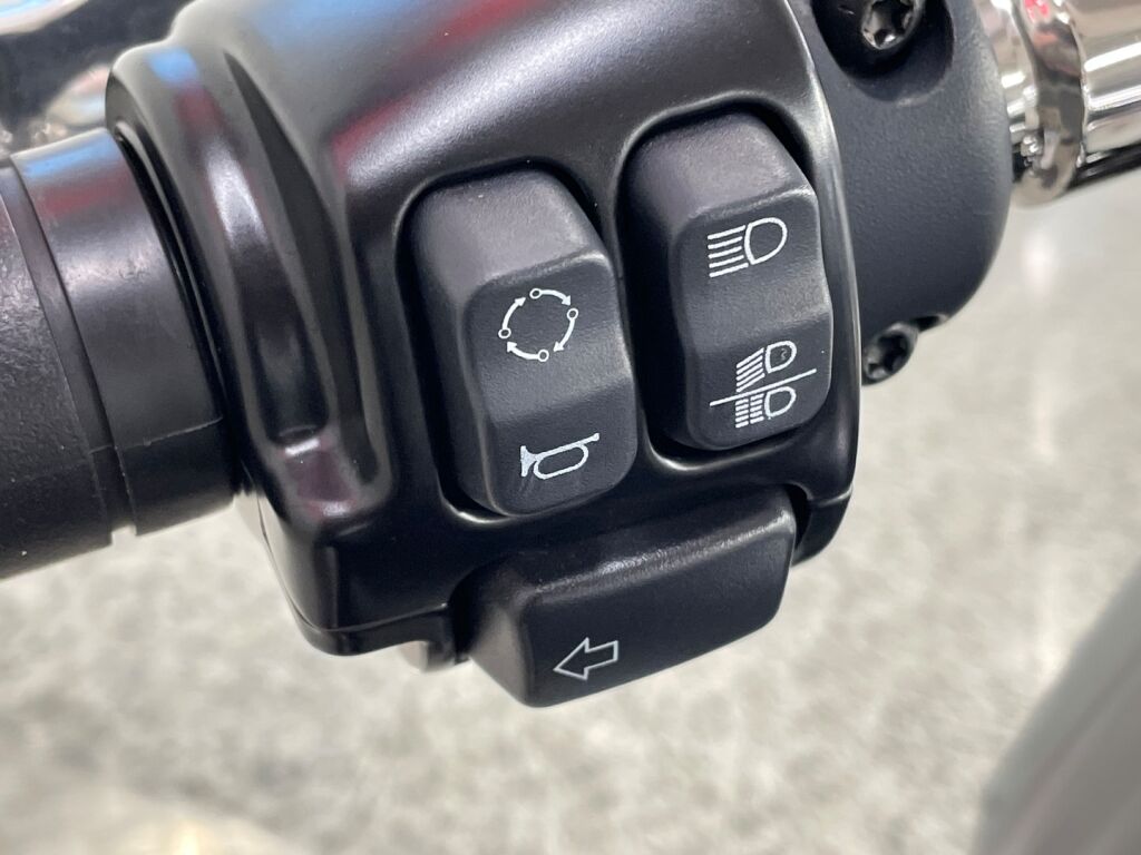 Harley-davidson SOFTAIL 2019 