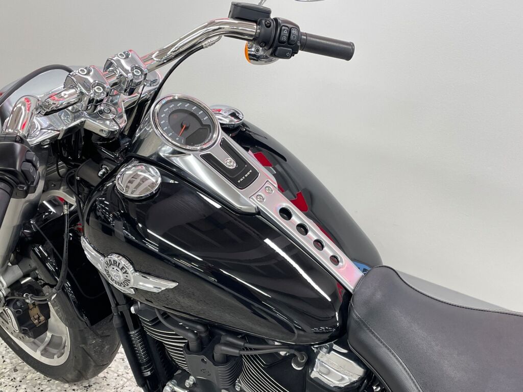 Harley-davidson SOFTAIL 2019 
