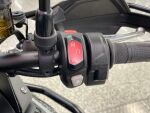 Triumph TIGER 2023 