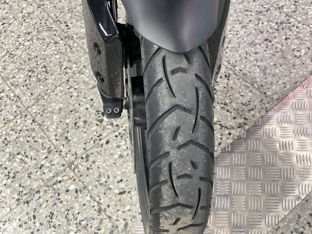 Triumph TIGER 2023 