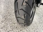 Triumph TIGER 2023 