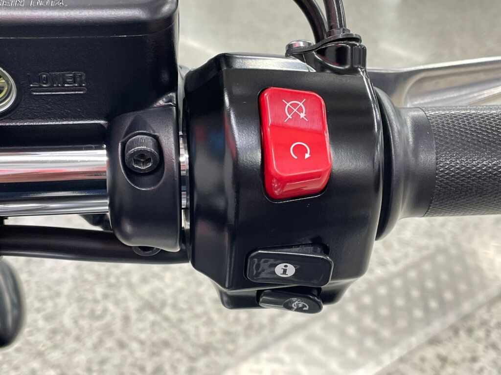 Triumph THUNDERBIRD 2016 ML O 5