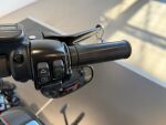 Harley-davidson SOFTAIL 2019 Valkoinen