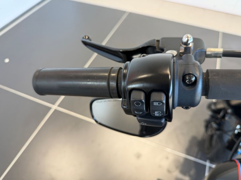 Harley-davidson SOFTAIL 2019 Valkoinen