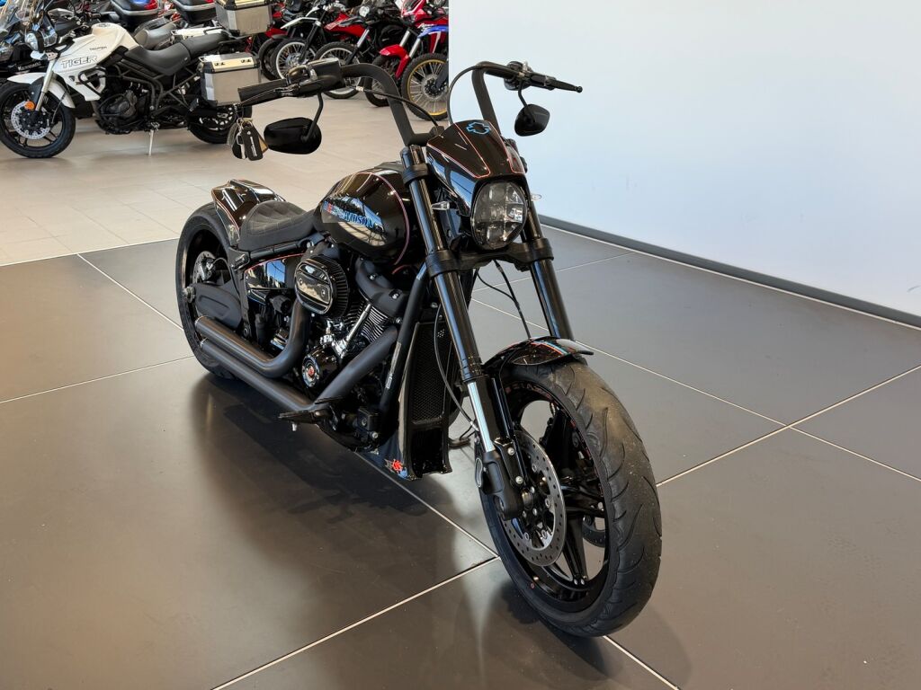 Harley-davidson SOFTAIL 2019 Valkoinen