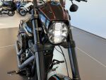 Harley-davidson SOFTAIL 2019 Valkoinen