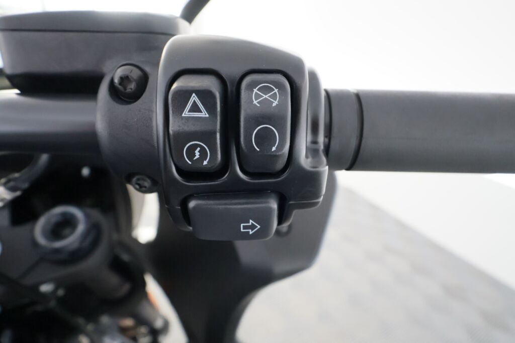 Harley-davidson SOFTAIL 2022 