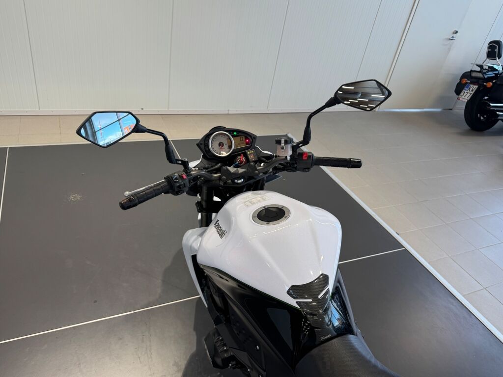 Kawasaki Z 2010 