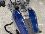 Harley-davidson SOFTAIL 2023 