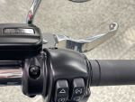Harley-davidson SOFTAIL 2023 