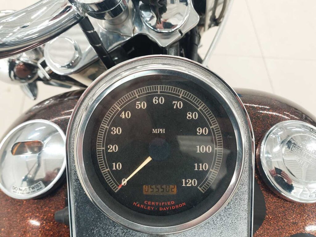 Harley-davidson Softail 2002 Sininen