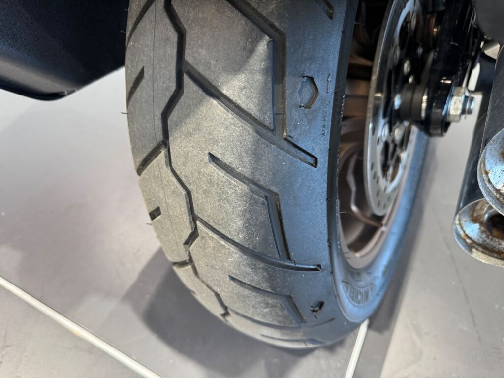 Harley-davidson SOFTAIL 2022 