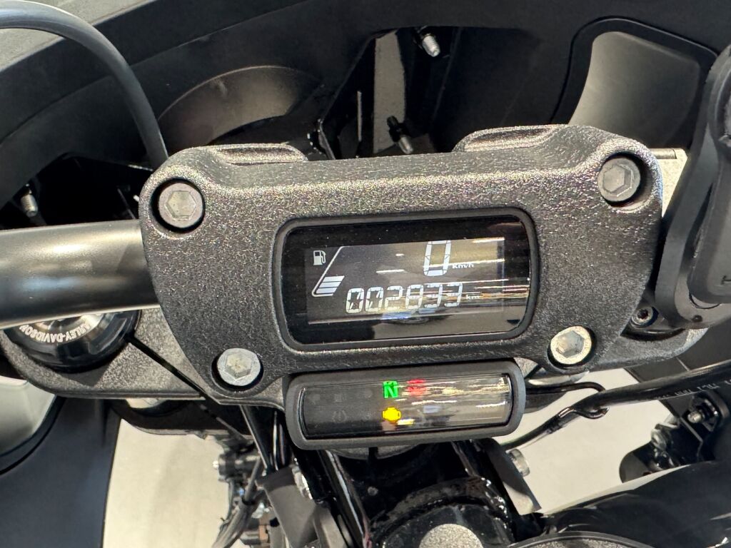 Harley-davidson SOFTAIL 2022 