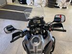 Suzuki DL 2019 