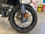 Suzuki DL 2019 