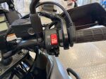 Suzuki DL 2019 