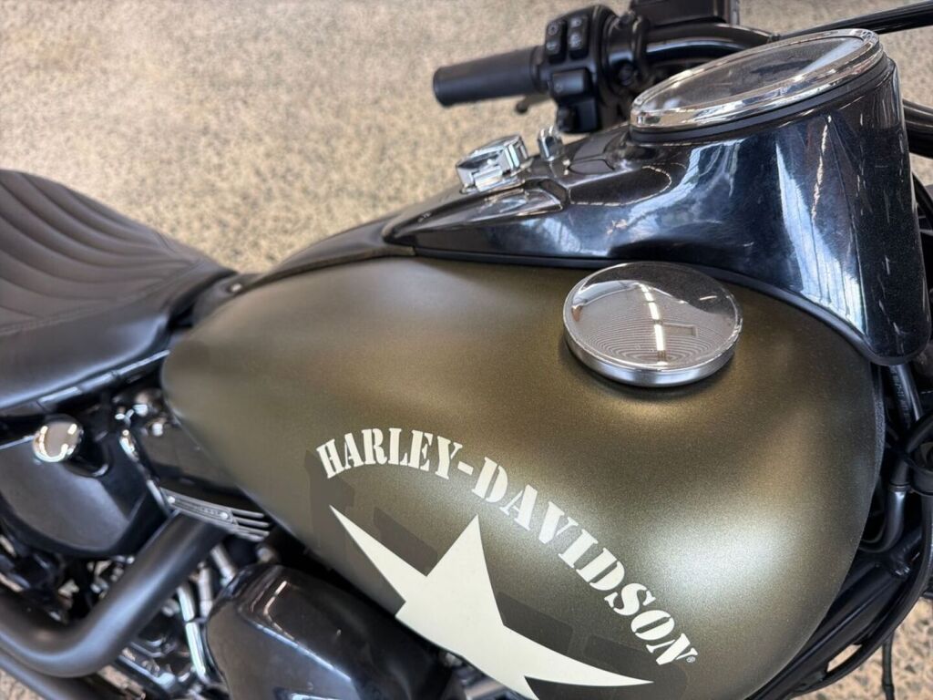 Harley-davidson SOFTAIL 2016 Vihreä