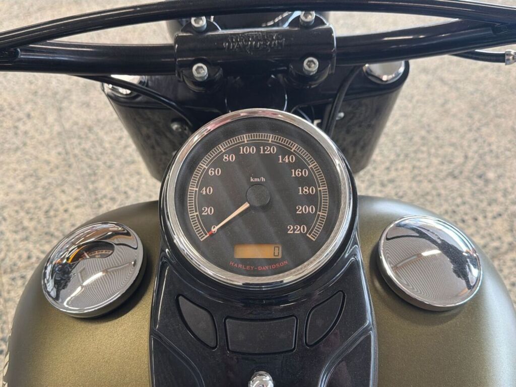 Harley-davidson SOFTAIL 2016 Vihreä