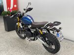 Triumph SCRAMBLER 2022 