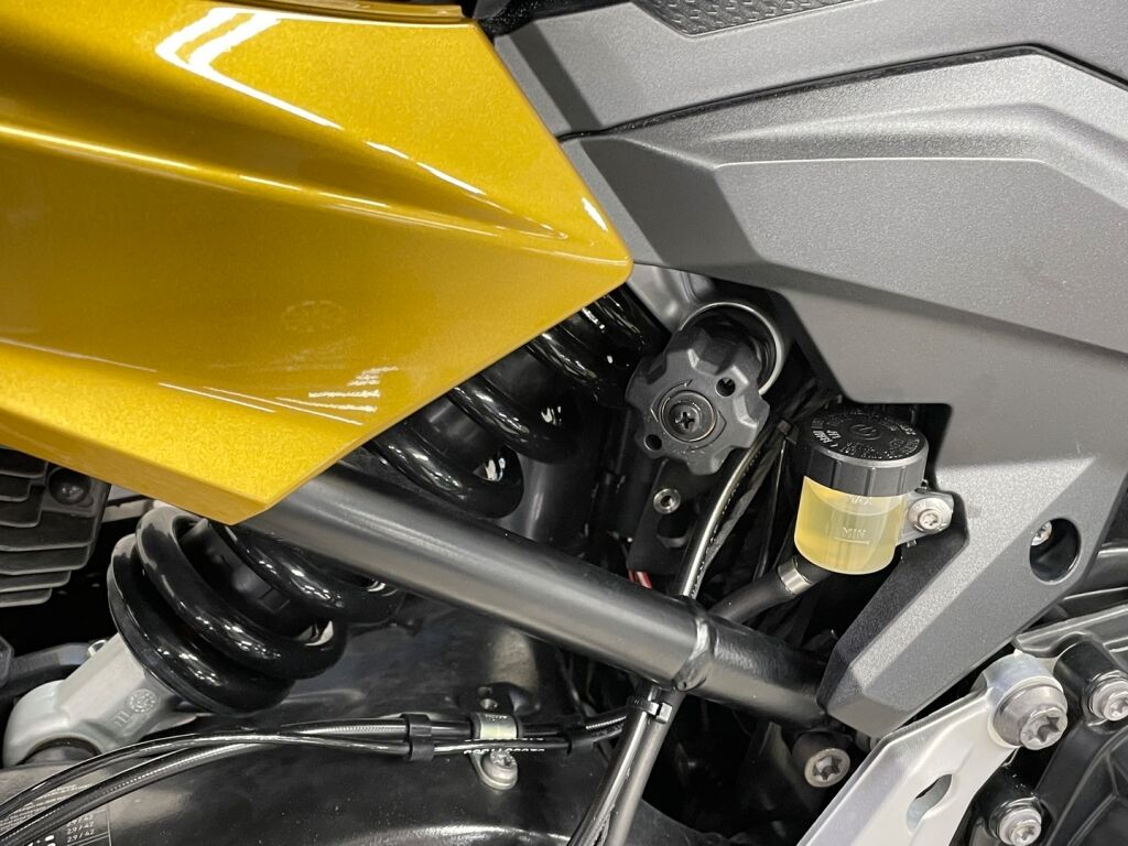 BMW F 2021 Keltainen