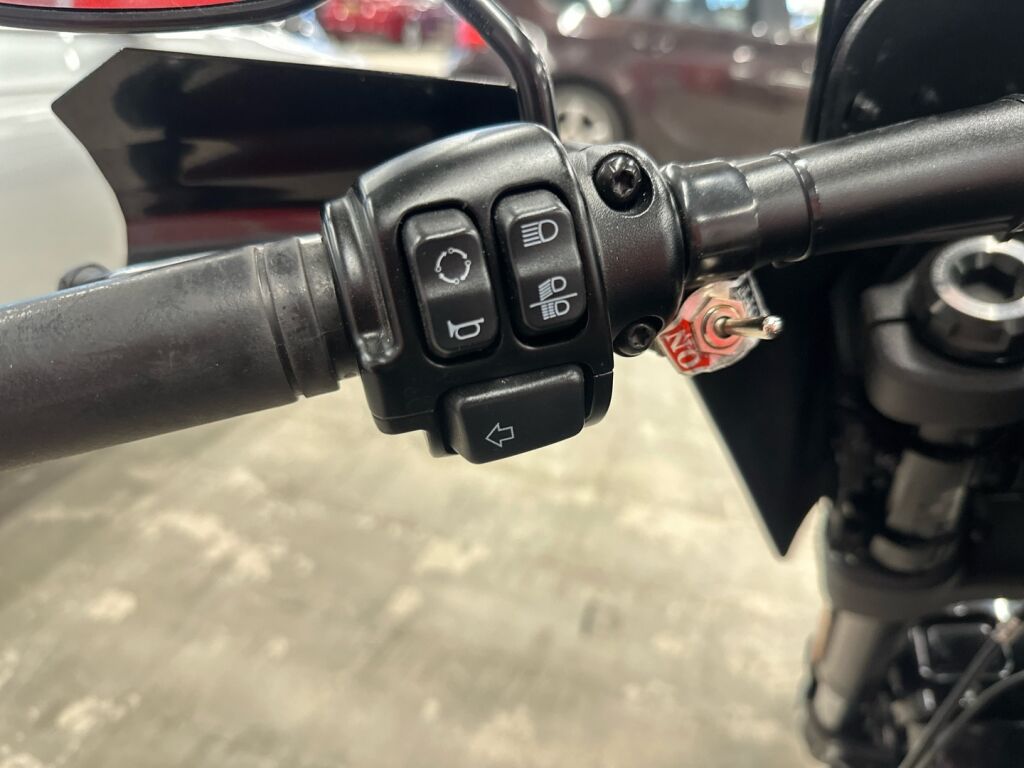 Harley-davidson SOFTAIL 2022 