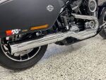 Harley-davidson SOFTAIL 2019 