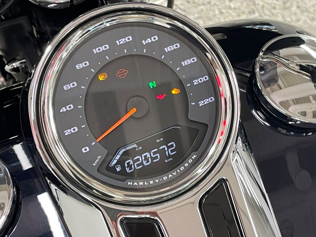 Harley-davidson SOFTAIL 2019 