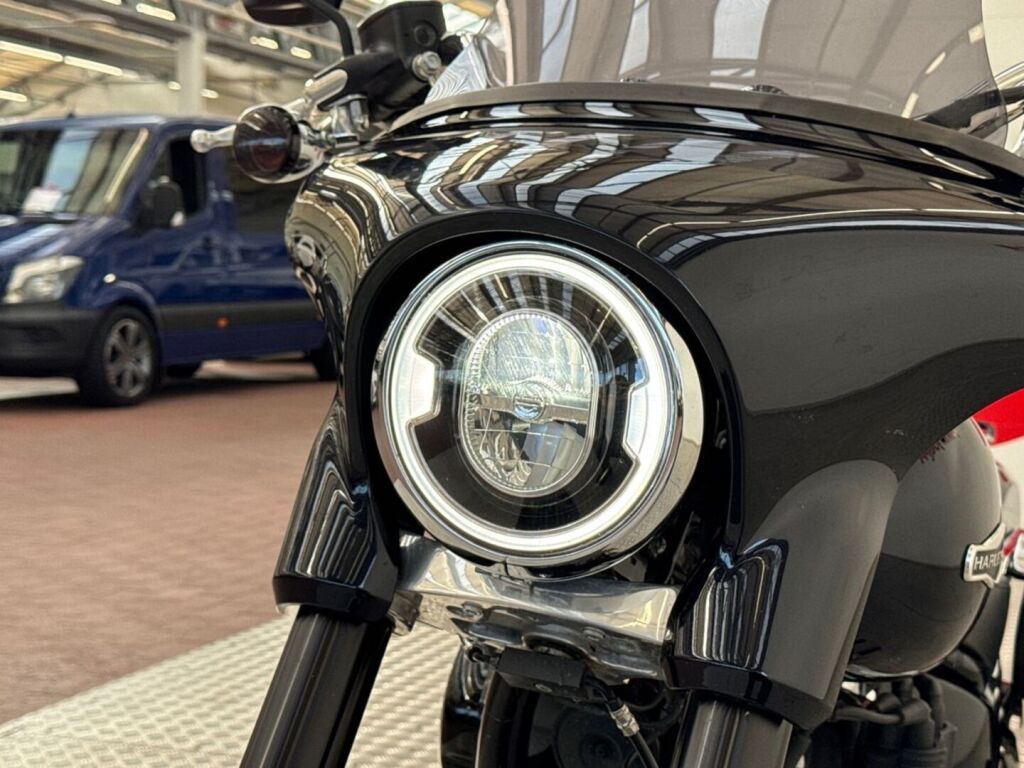 Harley-davidson SOFTAIL 2019 