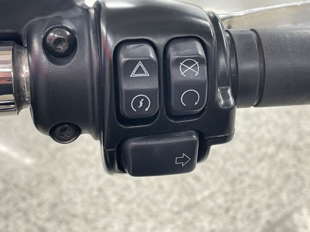 Harley-davidson SOFTAIL 2019 