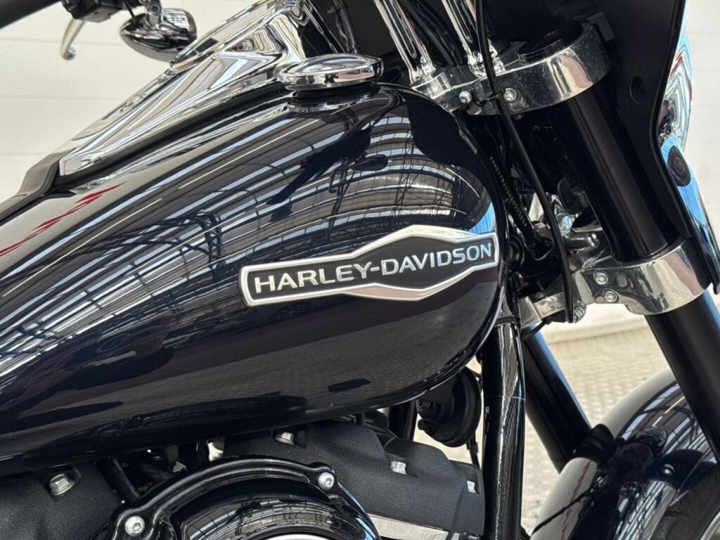 Harley-davidson SOFTAIL 2019 