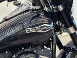 Harley-davidson SOFTAIL 2019 