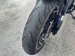 Harley-davidson SOFTAIL 2019 
