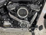 Harley-davidson SOFTAIL 2019 