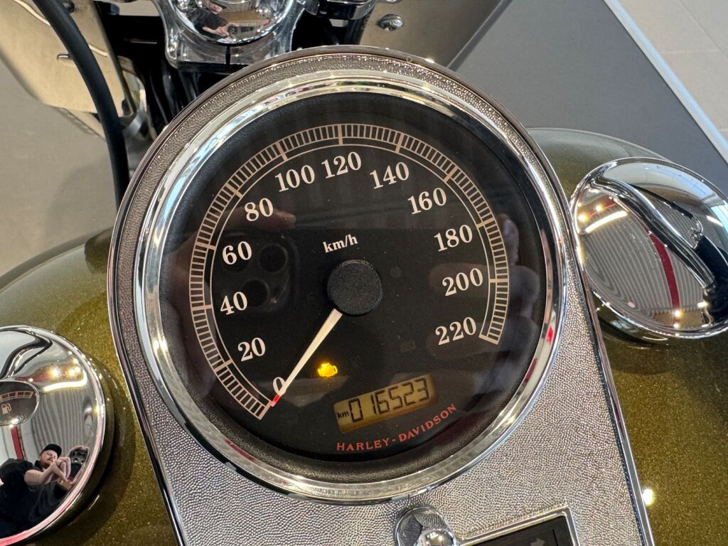 Harley-davidson SOFTAIL 2017 Vihreä