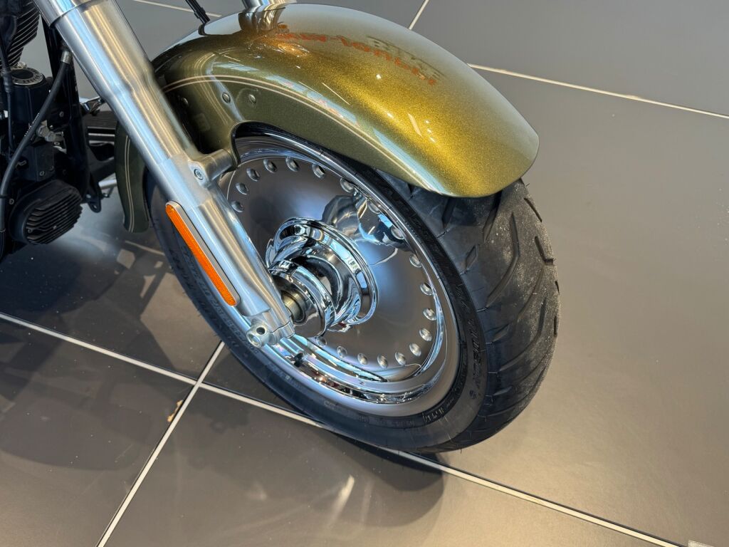 Harley-davidson SOFTAIL 2017 Vihreä