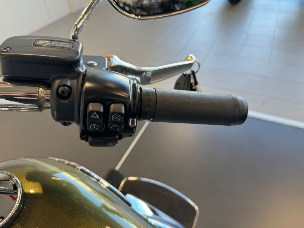 Harley-davidson SOFTAIL 2017 Vihreä