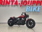 Indian SCOUT 2023 